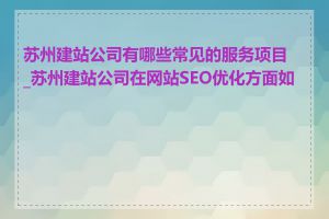 苏州建站公司有哪些常见的服务项目_苏州建站公司在网站SEO优化方面如何