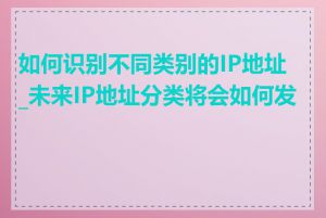 如何识别不同类别的IP地址_未来IP地址分类将会如何发展