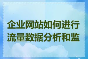 企业网站如何进行流量数据分析和监控