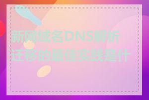 新网域名DNS解析迁移的最佳实践是什么