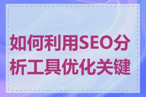 如何利用SEO分析工具优化关键词