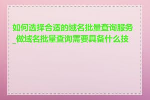 如何选择合适的域名批量查询服务_做域名批量查询需要具备什么技能