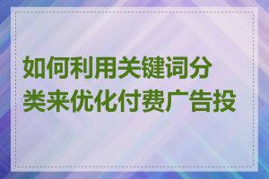 如何利用关键词分类来优化付费广告投放