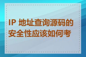 IP 地址查询源码的安全性应该如何考虑