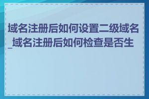 域名注册后如何设置二级域名_域名注册后如何检查是否生效