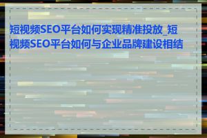 短视频SEO平台如何实现精准投放_短视频SEO平台如何与企业品牌建设相结合