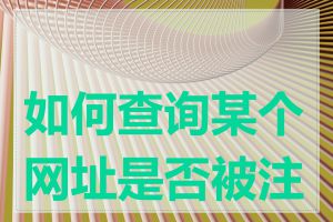 如何查询某个网址是否被注册