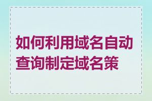 如何利用域名自动查询制定域名策略