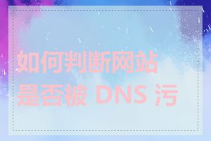 如何判断网站是否被 DNS 污染