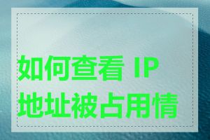 如何查看 IP 地址被占用情况