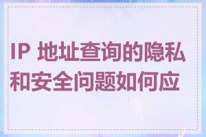 IP 地址查询的隐私和安全问题如何应对