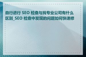 自行进行 SEO 检查与找专业公司有什么区别_SEO 检查中发现的问题如何快速修复