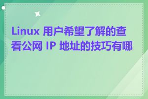 Linux 用户希望了解的查看公网 IP 地址的技巧有哪些