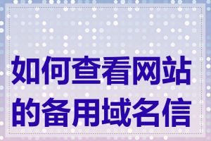 如何查看网站的备用域名信息