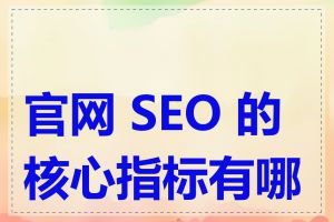 官网 SEO 的核心指标有哪些