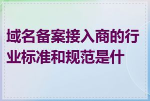 域名备案接入商的行业标准和规范是什么