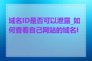 域名ID是否可以泄露_如何查看自己网站的域名ID