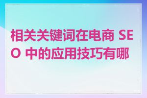 相关关键词在电商 SEO 中的应用技巧有哪些