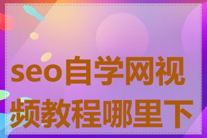 seo自学网视频教程哪里下载