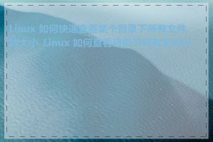 Linux 如何快速查看某个目录下所有文件的大小_Linux 如何查看目录下所有文件大小