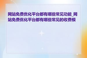 网站免费优化平台都有哪些常见功能_网站免费优化平台都有哪些常见的收费模式