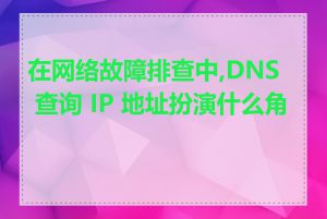 在网络故障排查中,DNS 查询 IP 地址扮演什么角色