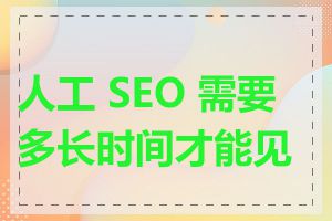 人工 SEO 需要多长时间才能见效