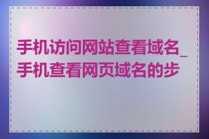 手机访问网站查看域名_手机查看网页域名的步骤