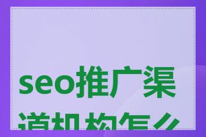 seo推广渠道机构怎么样