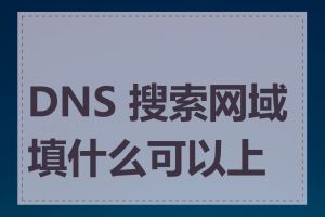 DNS 搜索网域填什么可以上网