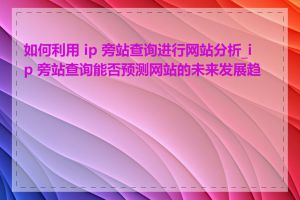 如何利用 ip 旁站查询进行网站分析_ip 旁站查询能否预测网站的未来发展趋势