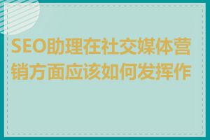 SEO助理在社交媒体营销方面应该如何发挥作用