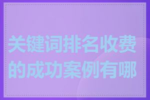 关键词排名收费的成功案例有哪些