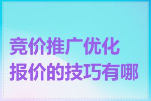 竞价推广优化报价的技巧有哪些