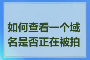 如何查看一个域名是否正在被拍卖