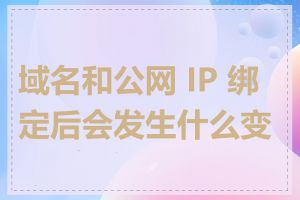 域名和公网 IP 绑定后会发生什么变化