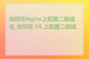 如何在Nginx上配置二级域名_如何在 IIS 上配置二级域名