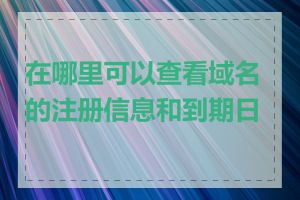 在哪里可以查看域名的注册信息和到期日期