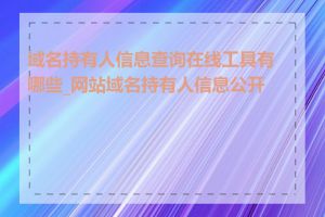 域名持有人信息查询在线工具有哪些_网站域名持有人信息公开吗