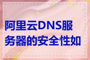 阿里云DNS服务器的安全性如何