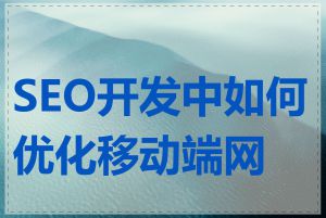 SEO开发中如何优化移动端网站