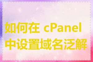 如何在 cPanel 中设置域名泛解析