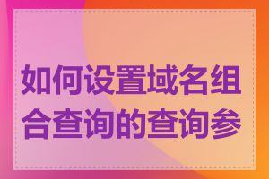 如何设置域名组合查询的查询参数