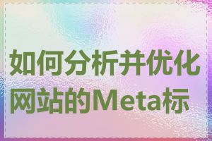 如何分析并优化网站的Meta标签