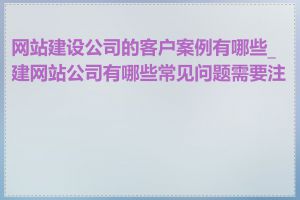 网站建设公司的客户案例有哪些_建网站公司有哪些常见问题需要注意