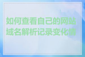 如何查看自己的网站域名解析记录变化情况