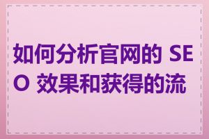 如何分析官网的 SEO 效果和获得的流量