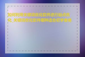 如何利用关键词优化软件进行站点优化_关键词优化软件哪种适合初学者使用