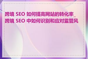 跨境 SEO 如何提高网站的转化率_跨境 SEO 中如何识别和应对监管风险