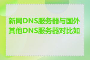 新网DNS服务器与国外其他DNS服务器对比如何